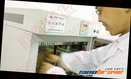 比马桶脏3倍 如何让手机触摸屏“健康”起来