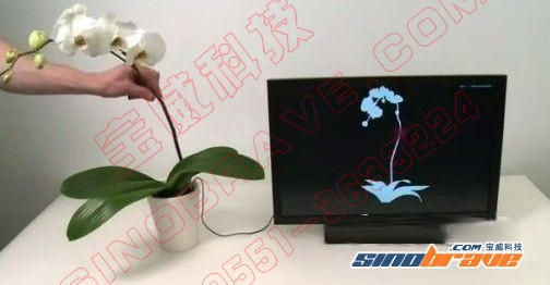 SFCS技术将植物变为多点触摸控制器